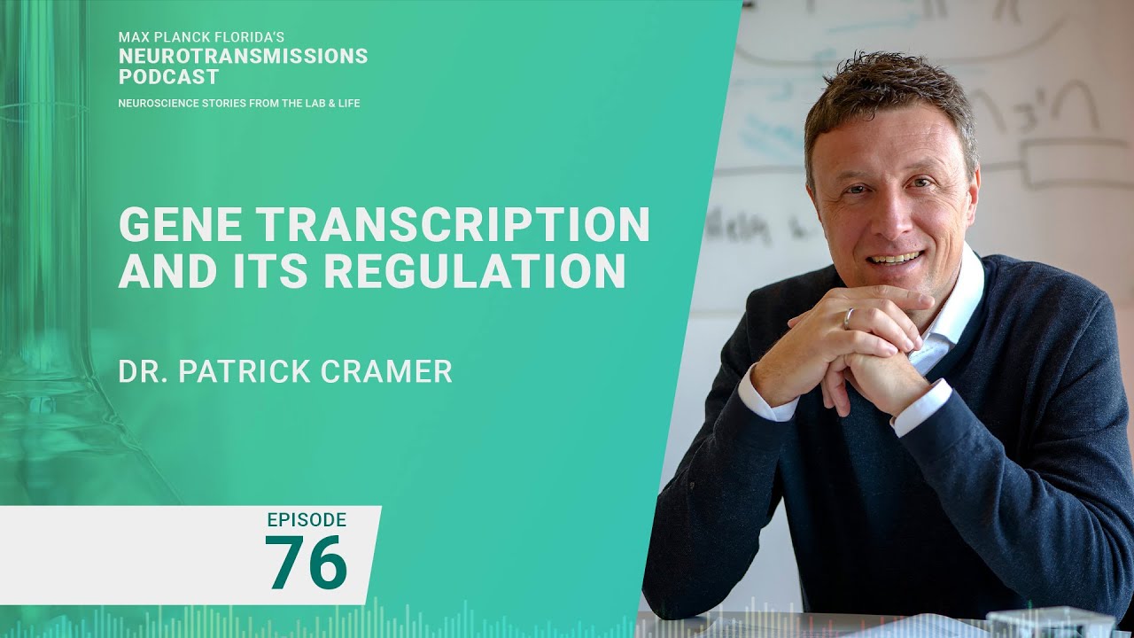 Podcast Ep. 76 -  Gene Transcription and Its Regulation with Patrick Cramer