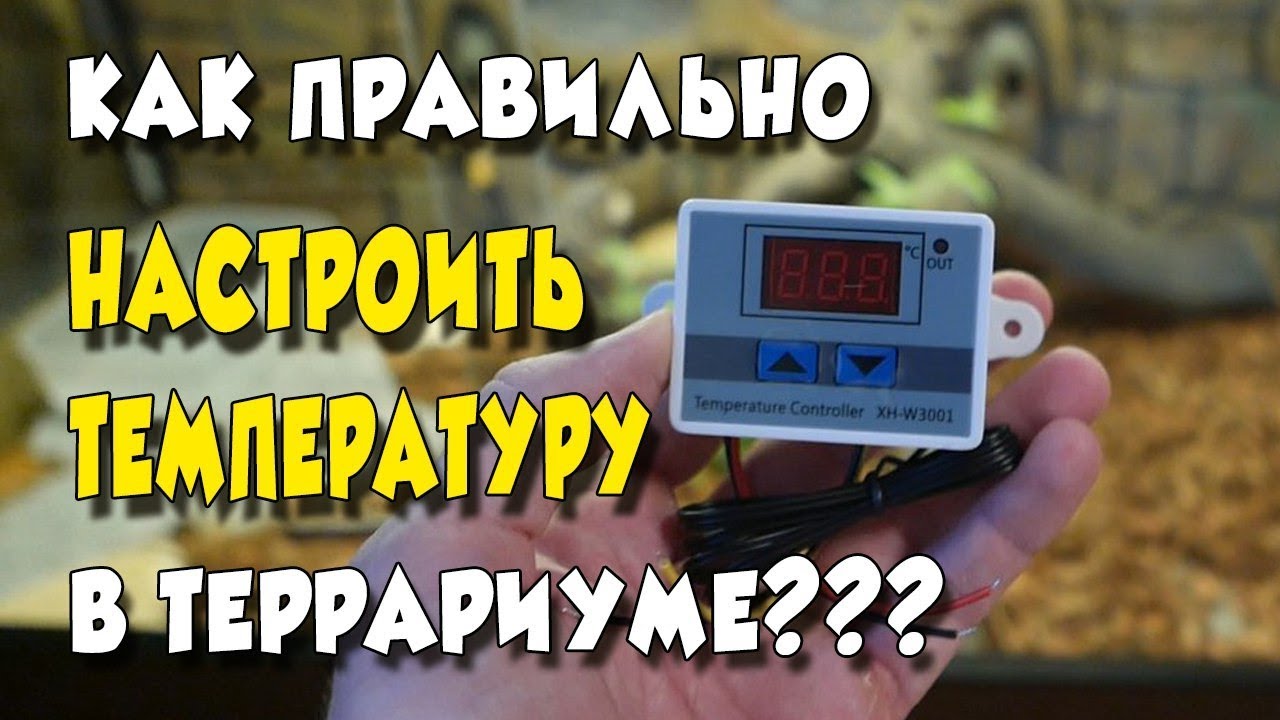 ТЕРМОРЕГУЛЯТОР XH-W3001 С АЛИЭКСРЕСС. КАК ПРАВИЛЬНО НАСТРОИТЬ ТЕМПЕРАТУРУ В ТЕРРАРИУМЕ?