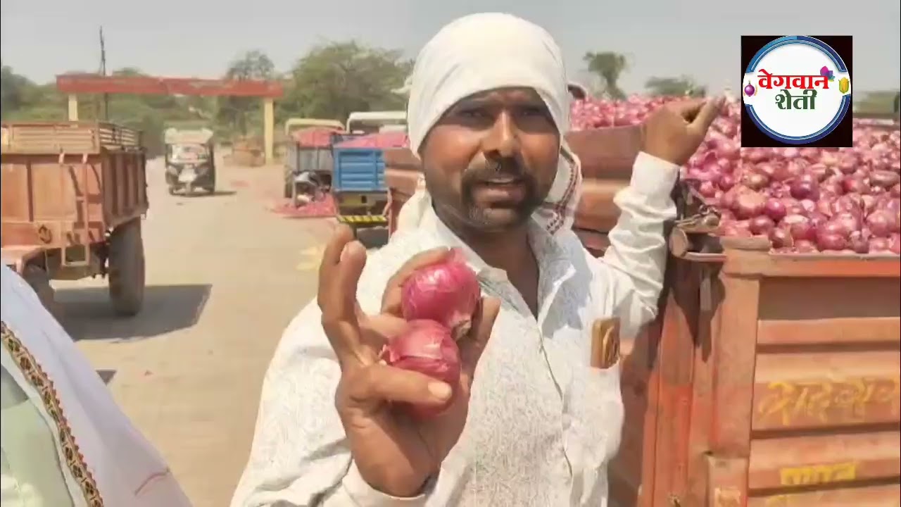 नांदगाव Nandgaon Market Onion Rates: कांदा बाजार भाव 13 March 2026 #vegwansheti