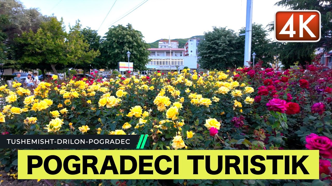 POGRADECI QYTET TURISTIK, TUSHEMISHT, DRILON POGRADEC, ASMR SOUND OF NATURE [4K HDR]