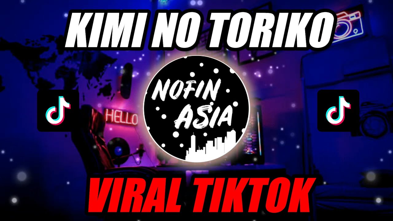 DJ KIMI NO TORIKO REMIX |