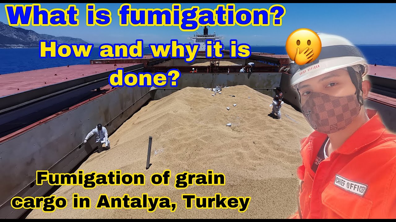 HOW FUMIGATION OF GRAIN CARGO IS DONE | WHAT IS FUMIGATION | CHIEF Red SEAMAN VLOG EP.21