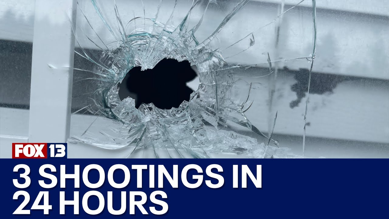 Violent 24 hours in Federal Way | FOX 13 Seattle