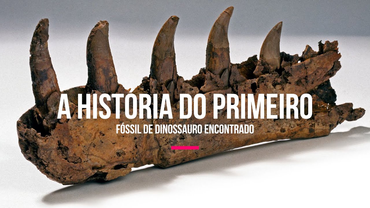 A historia do primeiro fóssil de dinossauro encontrado no mundo