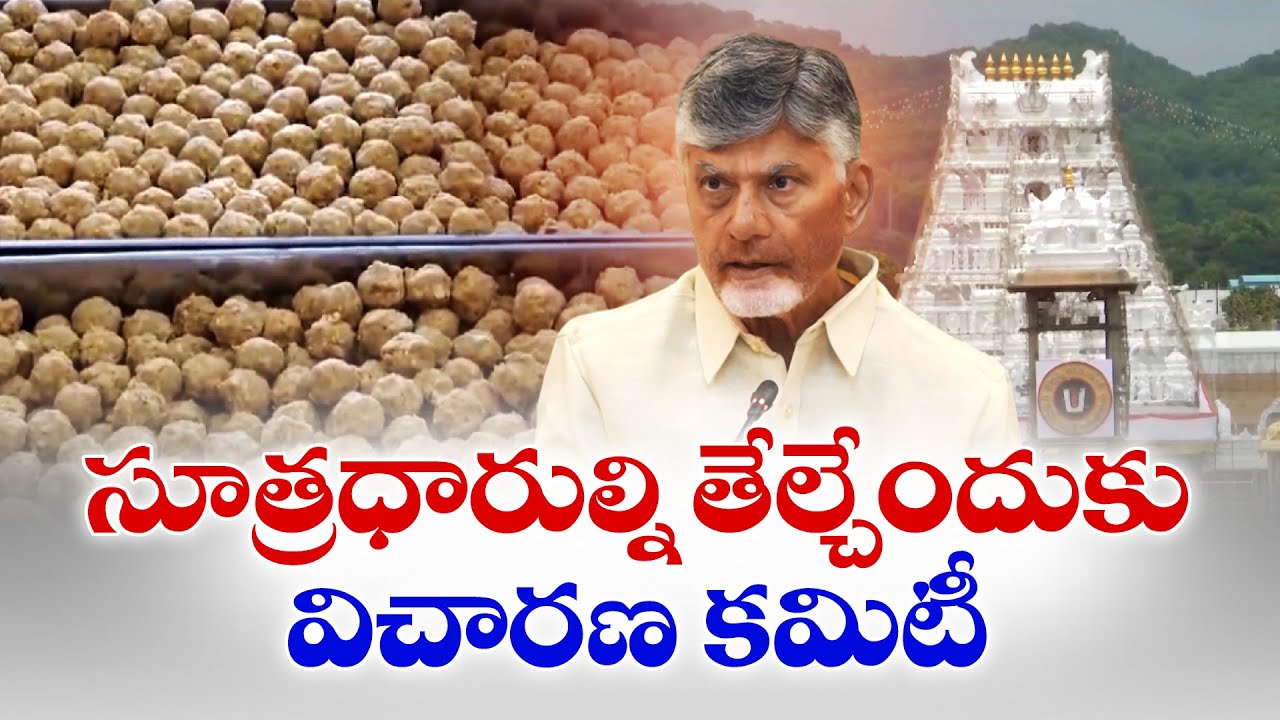 Tirumala Ghee Scam | AP Cabinet Decides to Form Inquiry Committee to Identify Culprits