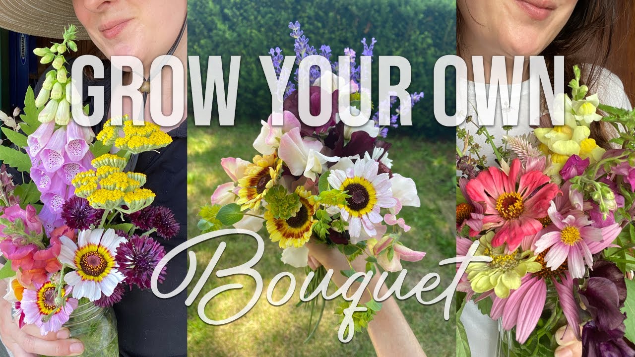 25 Must-Grow Flower Varieties | Cut Flower Garden