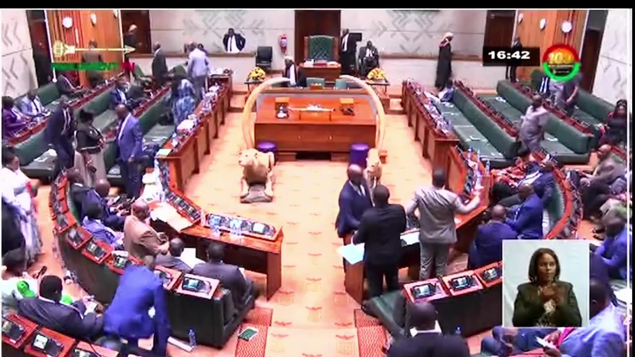 National Assembly of Zambia  Live Stream