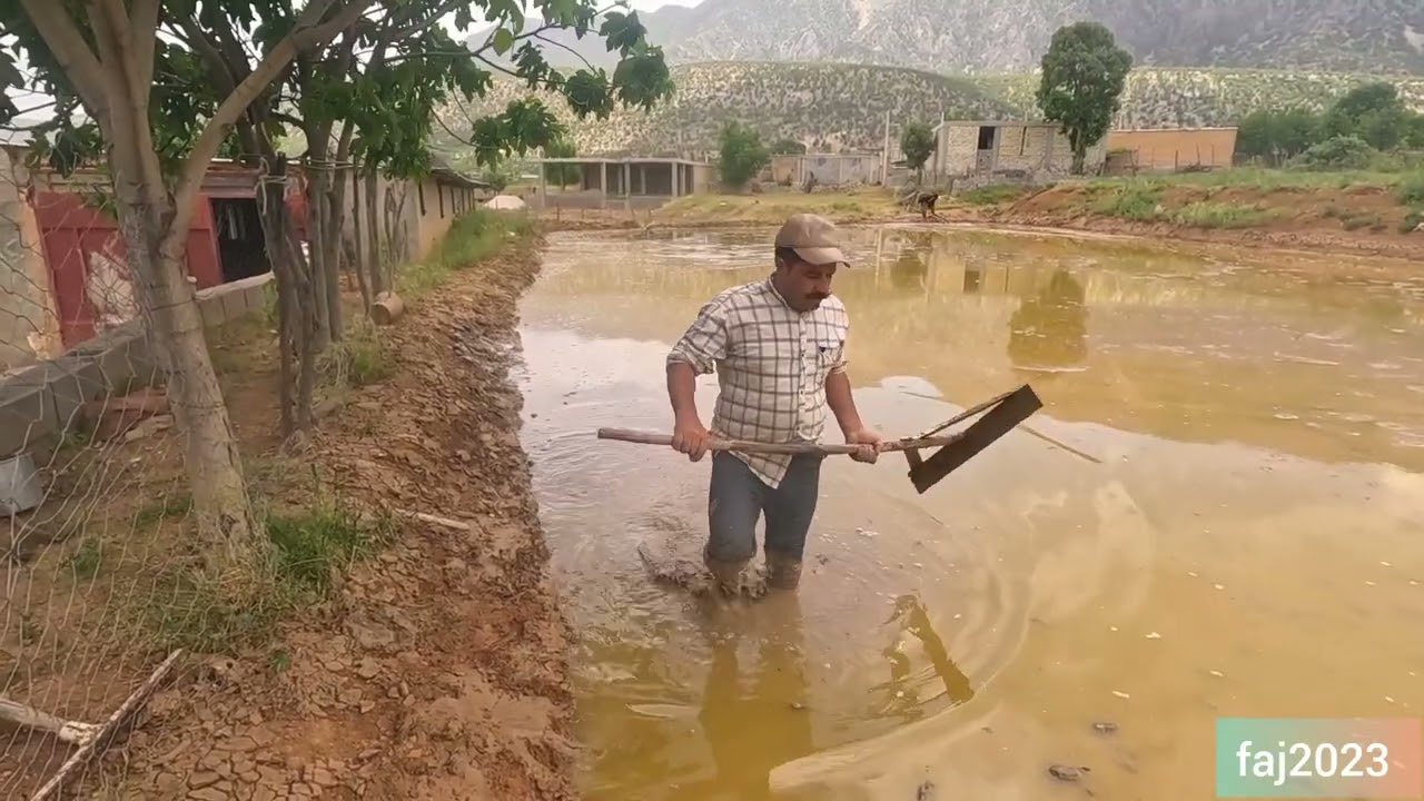 (lRAN 2023) Rural rice fields. Land preparation for rice cultivation.