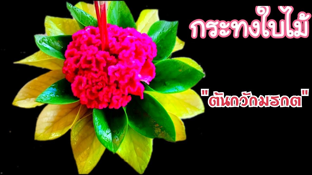 สอนทำกระทง กระทงใบไม้ ทำง่าย|ใบกวักมรกต