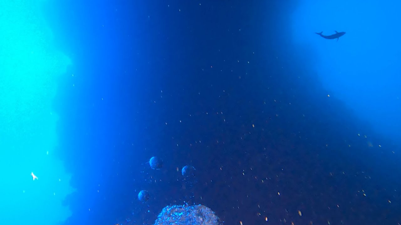 #131- 2023 Blue Hole Arch of Dahab Divers Cemetery 100 Meter Technical Dive