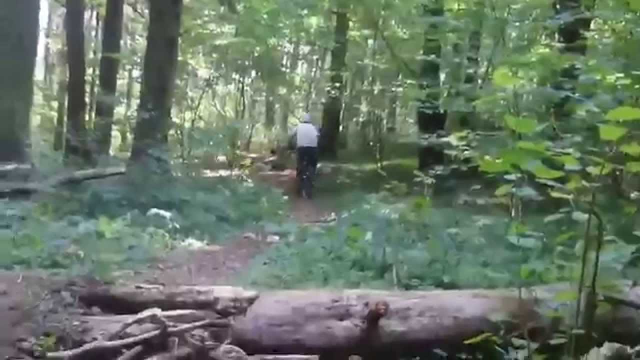 OneBike