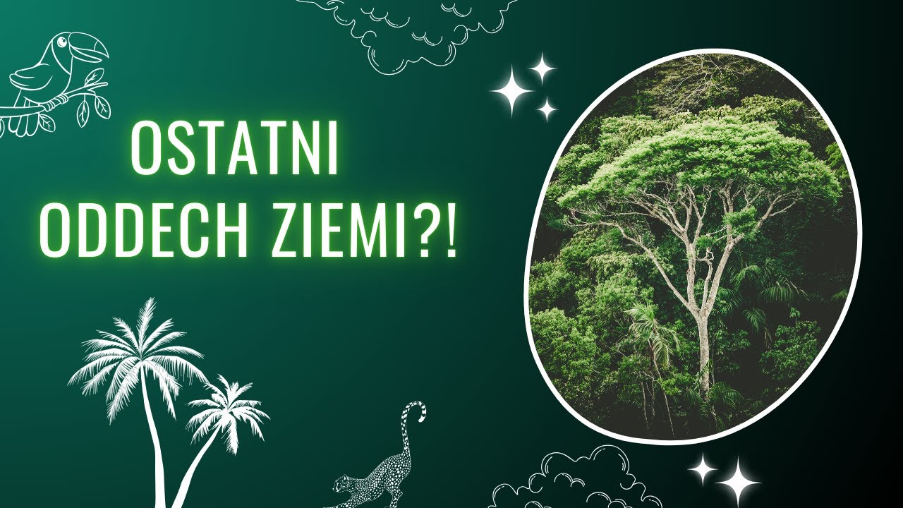 Las DESZCZOWY | Zielone Płuca Planety i Ich Tajemnice
