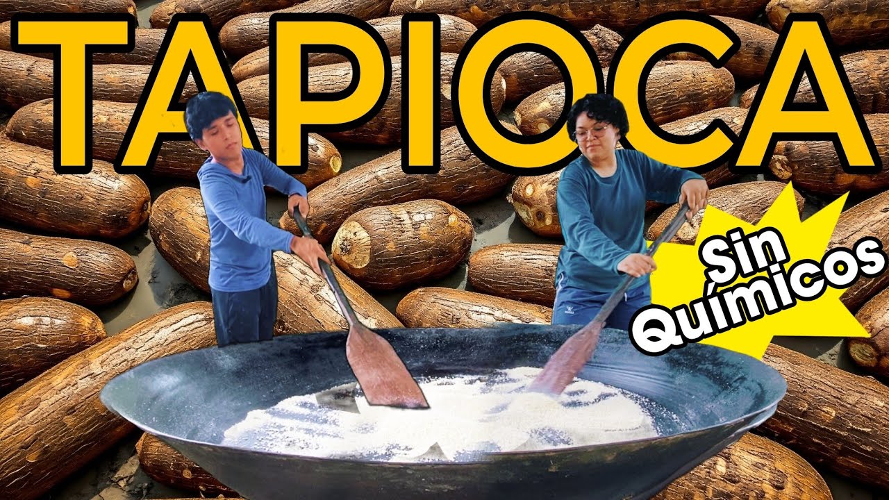 ASÍ se HACE la TAPIOCA ⚪ CORRECTAMENTE *PROCESO ARTESANAL* *SIN QUÍMICOS* |The JuanJer's|