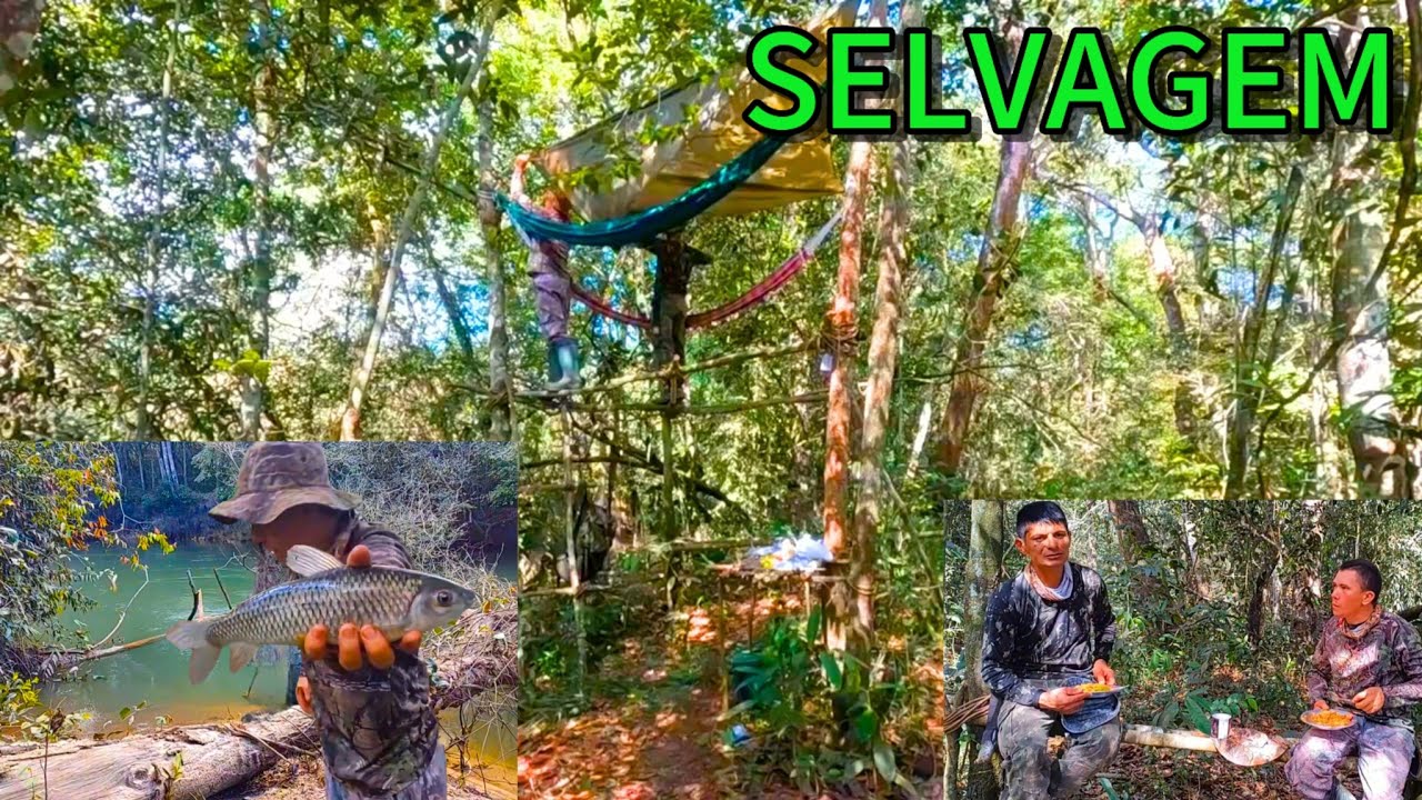 ACAMPAMENTO Selvagem mata a dentro no Matogrosso na beira de um riozinho, PEIXE Assado na brasa