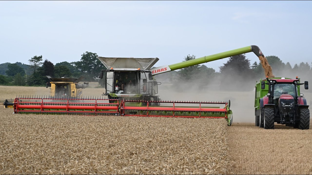 Harvest 2025 - Combining Wheat with New Holland CR10.90 & Claas Lexion 8900 and 5 Case IH Pumas