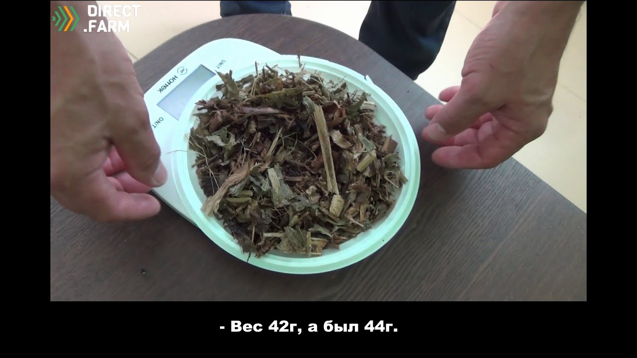 Определение сухого вещества в кормах