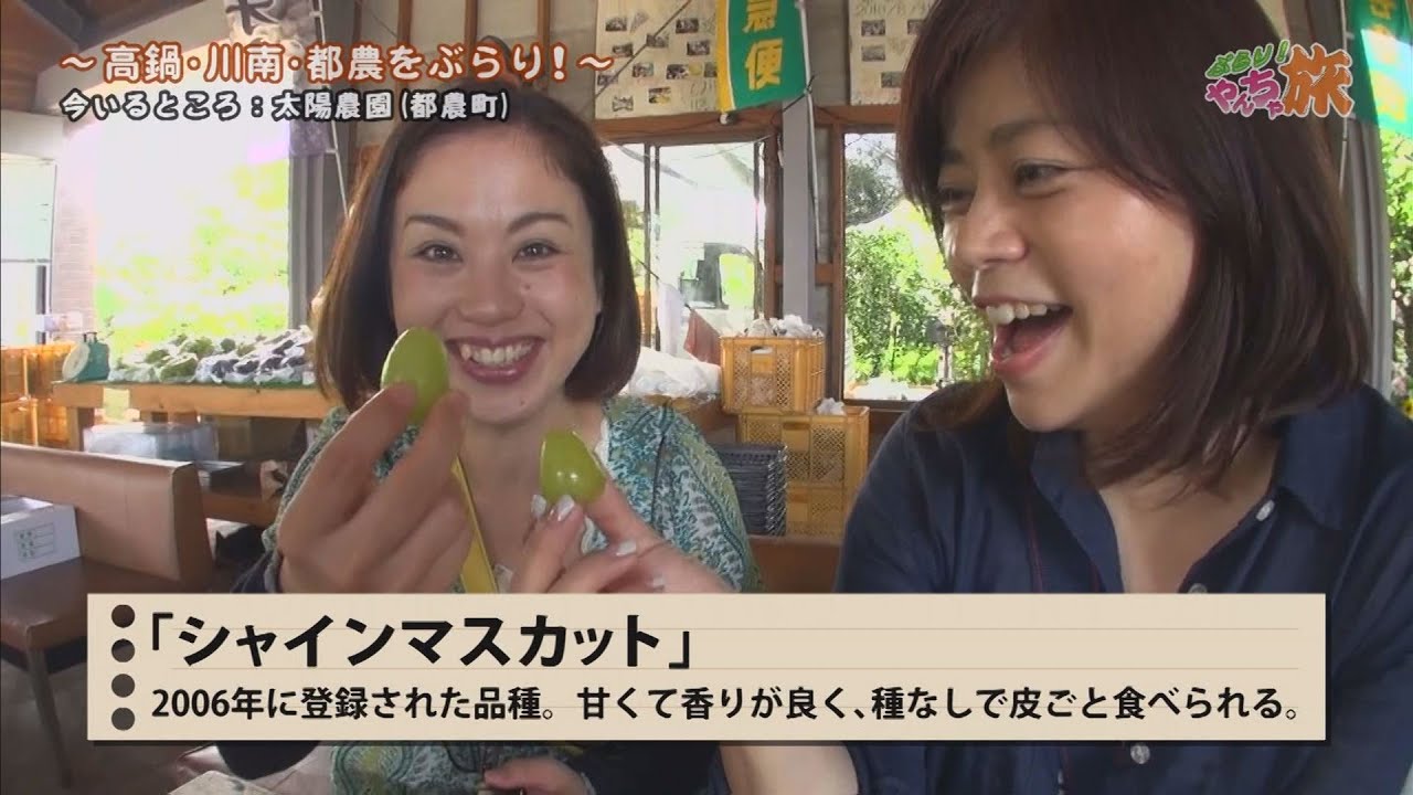 『#34 高鍋、川南、都農をぶらり！』まだまだやんちゃ盛りの４０代女２人が気の向くままにぶらり旅！