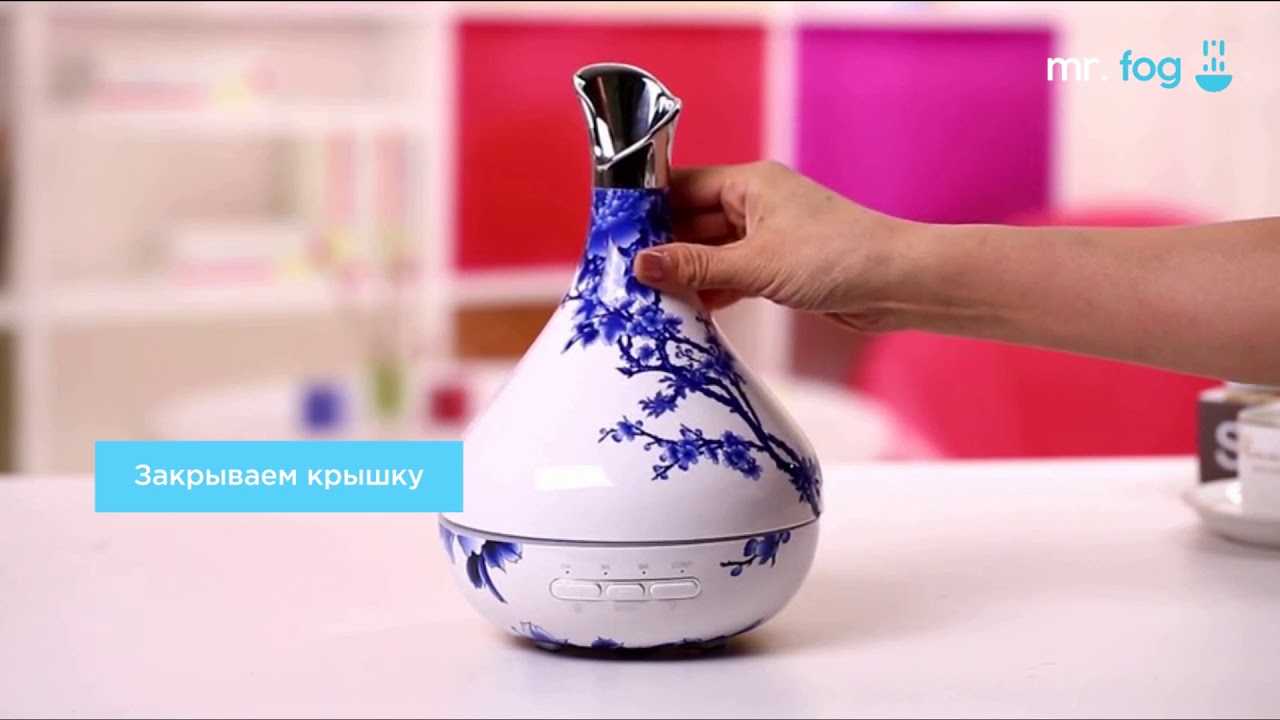 Mr.Fog