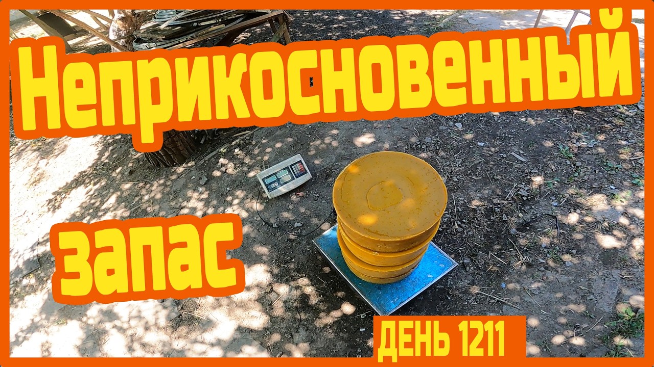 34 кг воска. Пчёлки работают. Я столярничаю. Купаю Фиби. Делаю магазины на лежаки — День 1211