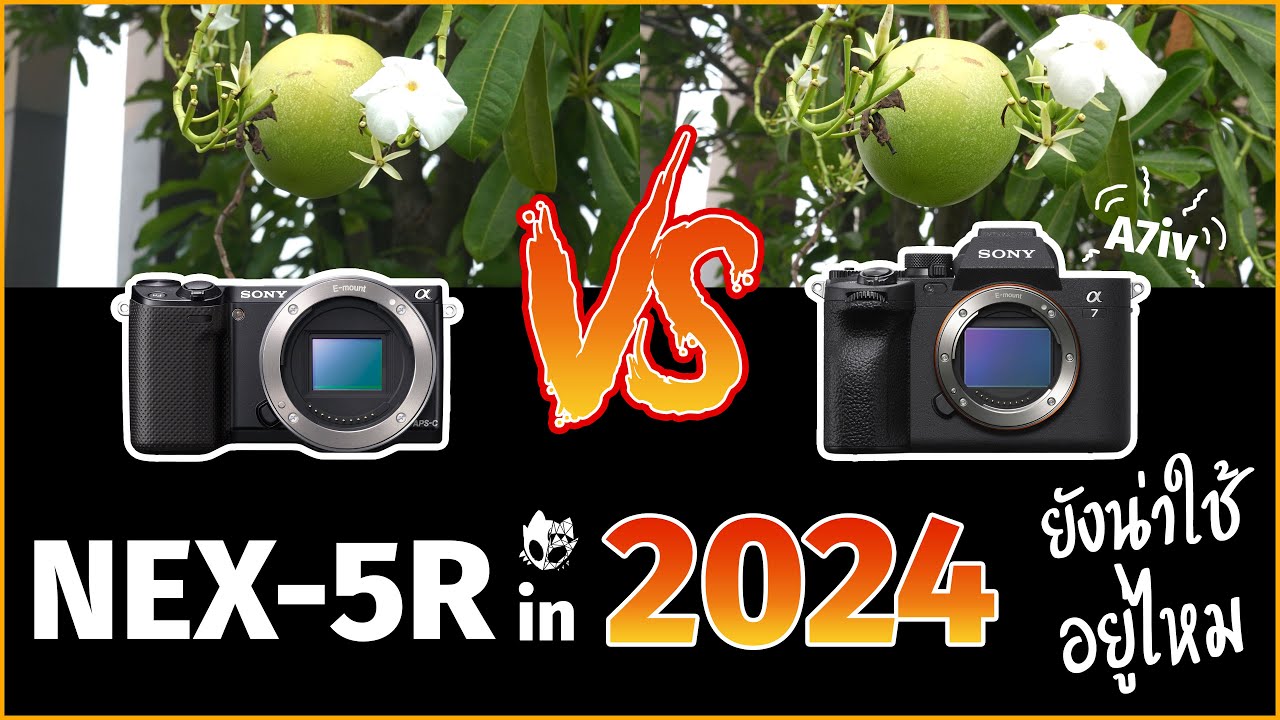 [ Review ] Sony NEX-5R ในปี 2024 ยังน่าใช้อยู่ไหม ?