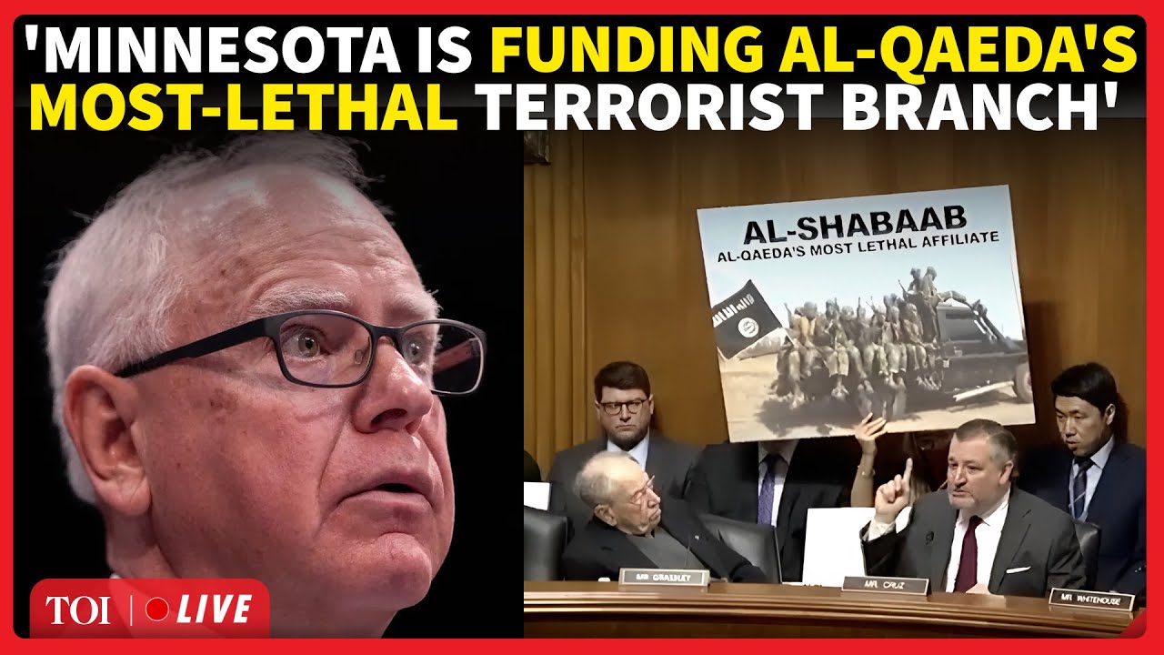 'Tim Walz, You Were Warned - Not Anymore': Ted Cruz Drops 'Confidential' Details Of Minnesota Fraud