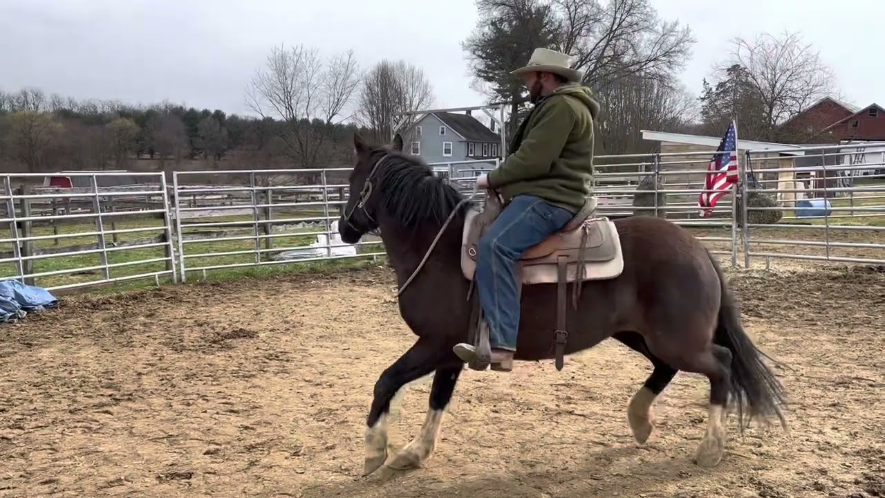 2023 Tennessee extreme mustang makeover Secora pick up and first ride