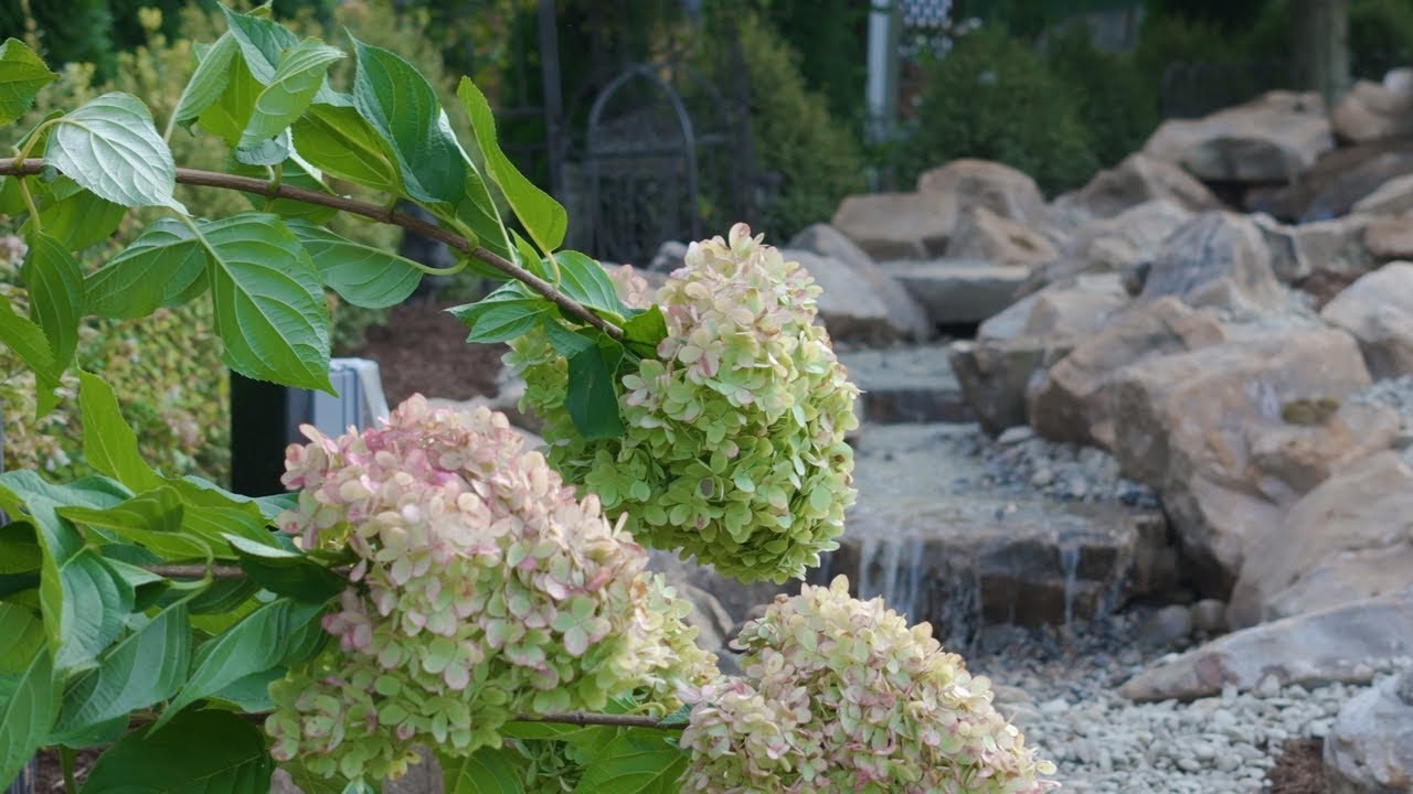 Custom Pondless Waterfall: 24-Foot Infinity Waterfall Build