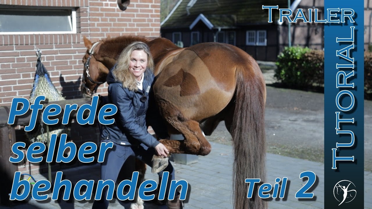 Pferderücken osteopathisch selber fit halten - Tutorial zum selber behandeln von Pferden