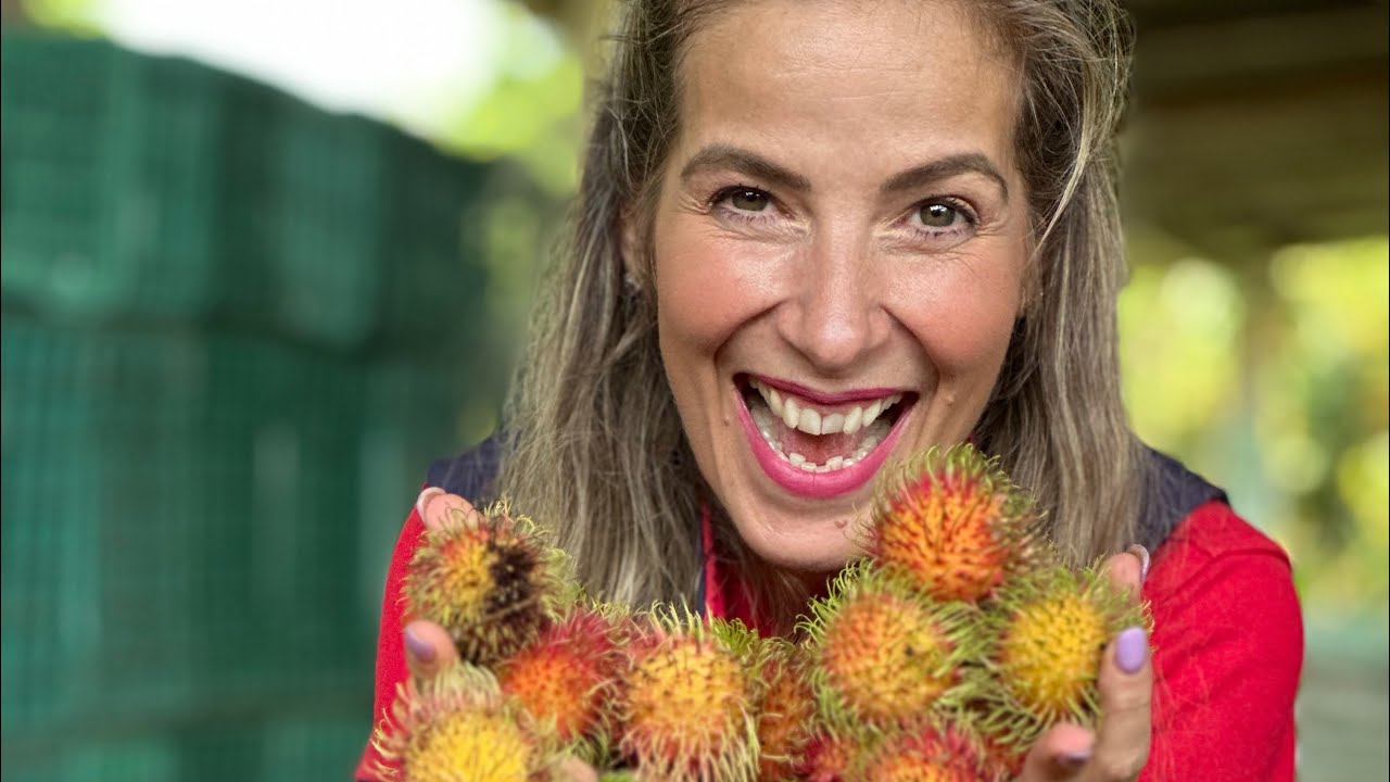 Fruto exotico y delicioso. El Rambután o lichi mexicano. Conoce los cultivos de Cacahoatán Chiapas.