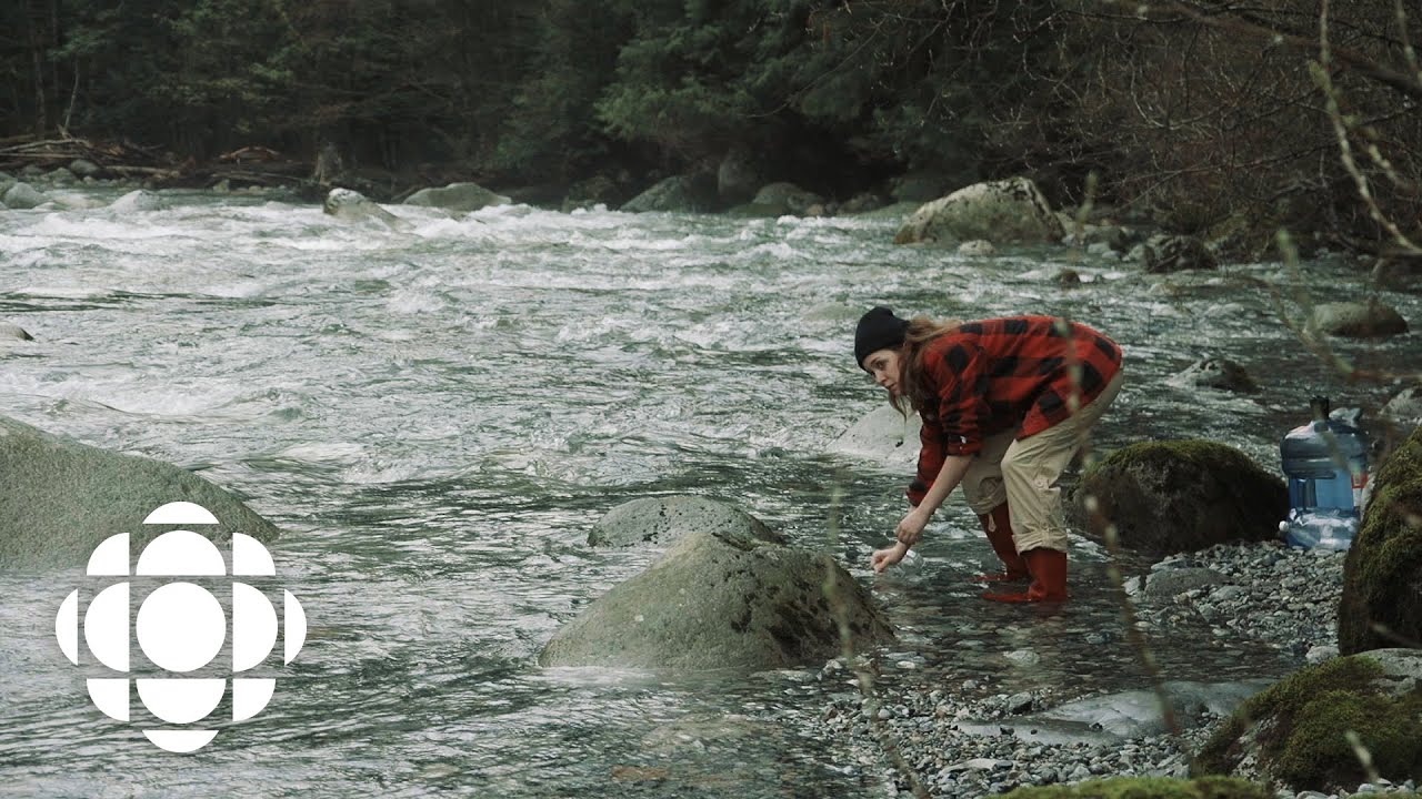 Canadian Makes Thousands of Dollars Smuggling Water into the U.S. | CBC Radio (Comedy/Satire Skit)