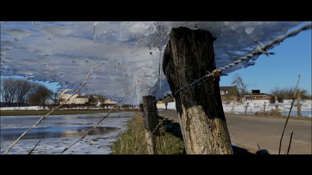 Eis Impressioen am Niederrhein auf der Bislicher Insel bei Xanten