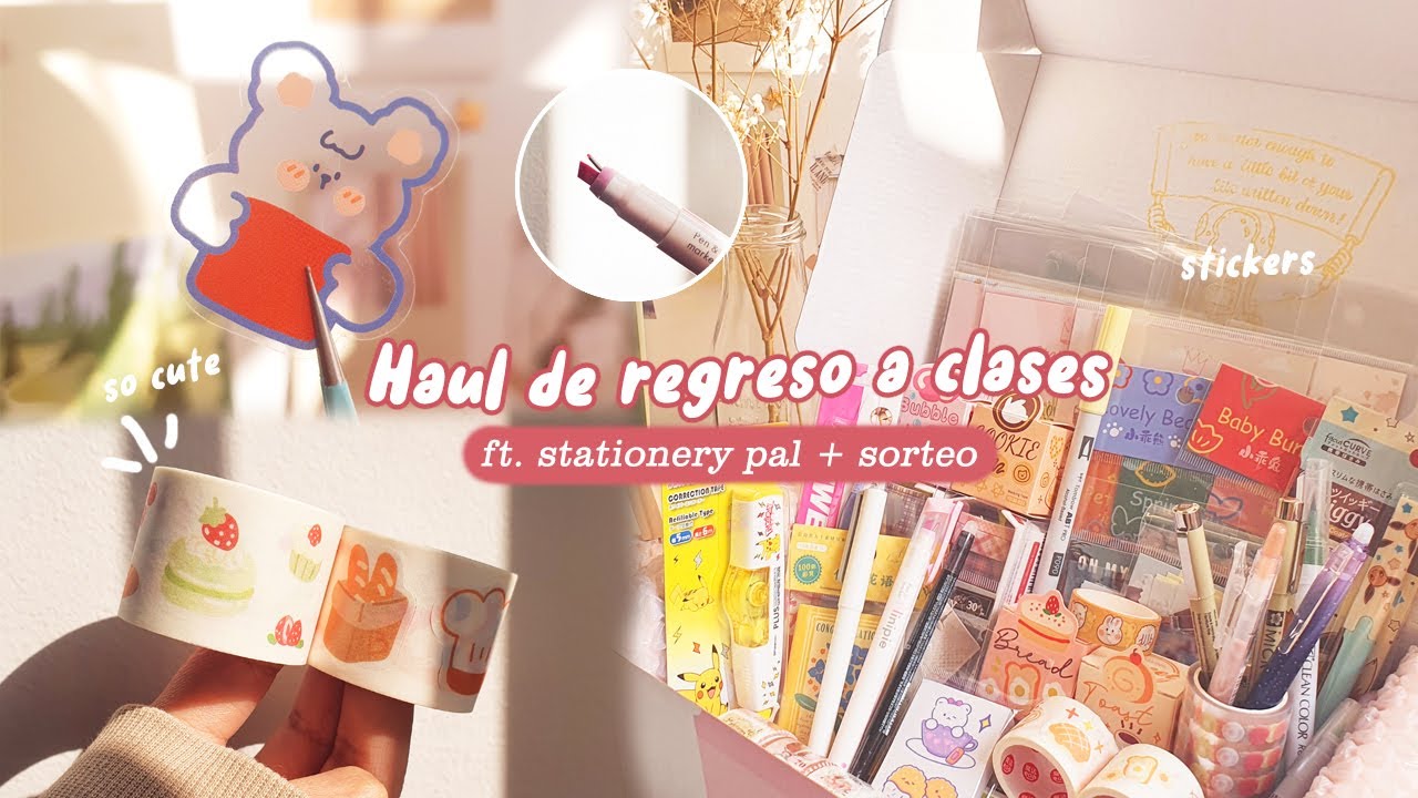 Volví al canal! + Haul de regreso a clases ft Sationery Pal + Sorteo Internacional