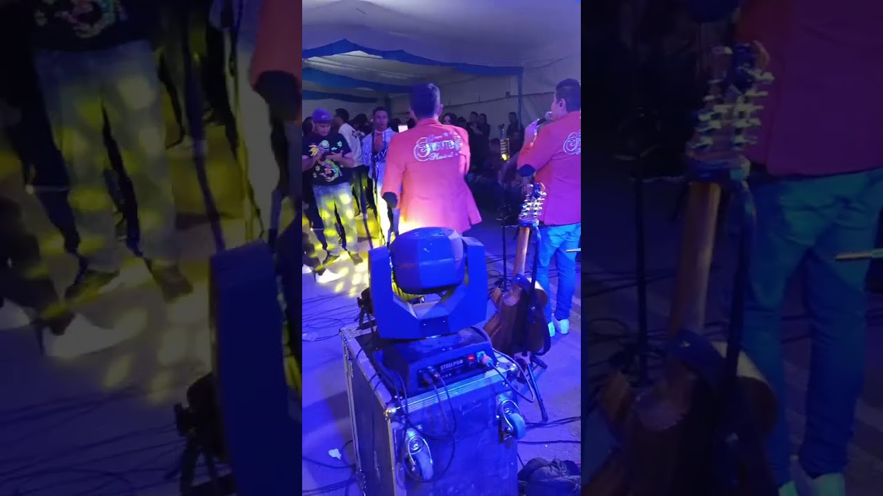 El gato y yo - Eva Maria se fue / Sabotaje Musical