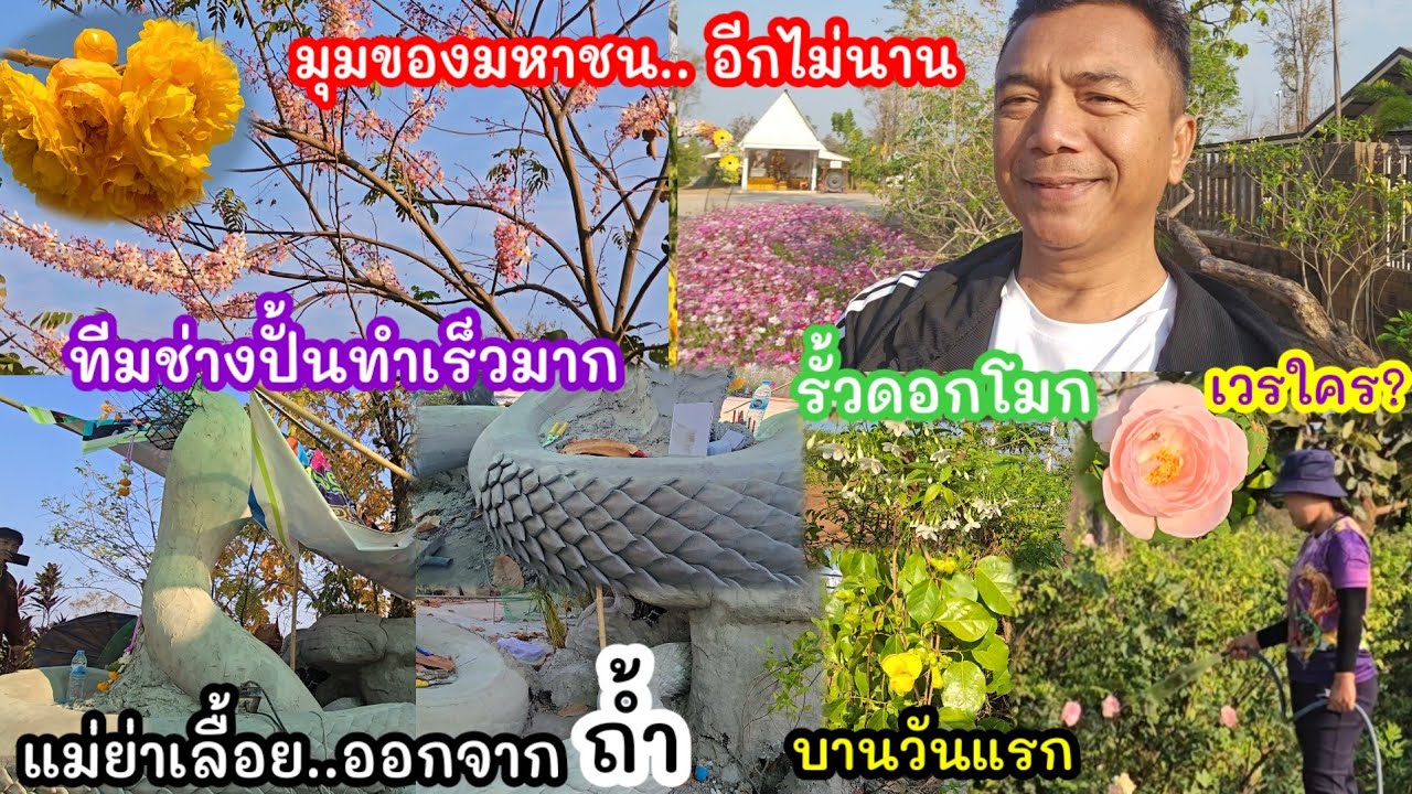 สุดขนลุก! อัพเดทปั้น#แม่ย่าช่อแก้วจำปา เลื้อยออกมาจากถ้ำ ไม่คิดว่าทีมช่างจะทำได้เร็วขนาดนี้