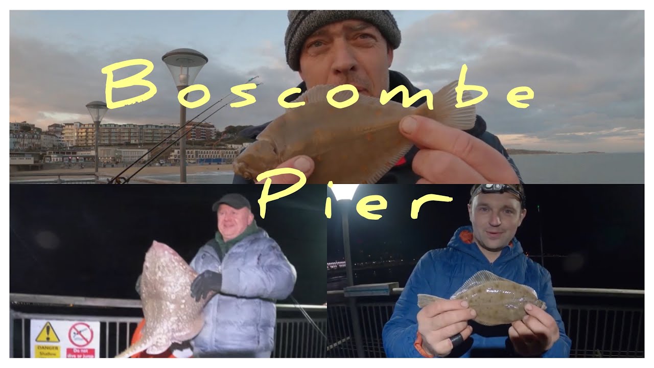 BOSCOMBE PIER FISHING #fishing #fyp #seafishing