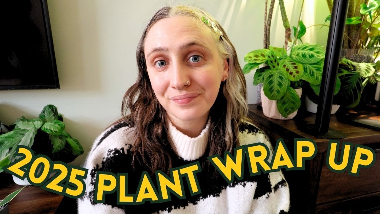 My 2025 Plant Wrap Up 🪴  End-of-Year Q&A Challenge