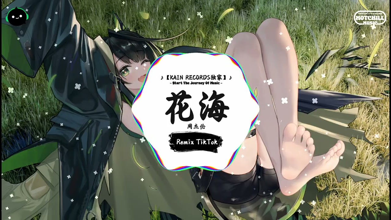 花海 (抖音DJ版) - 周杰伦「风 没有方向的吹来、雨 也跟着悲伤起来。」♪ || 抖音热播 | 抖音热歌 | 抖音 | TikTok ♪