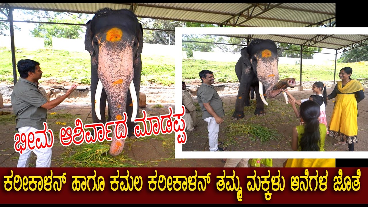 DCF ಕರೀಕಾಳನ್ ದಂಪತಿಗಳು ತಮ್ಮ ಮಕ್ಕಳು ಆನೆಗಳ ಯೋಗ ಕ್ಷೇಮ ವಿಚಾರಿದರು Elephant Tour @Mysuru palace Dasara2022