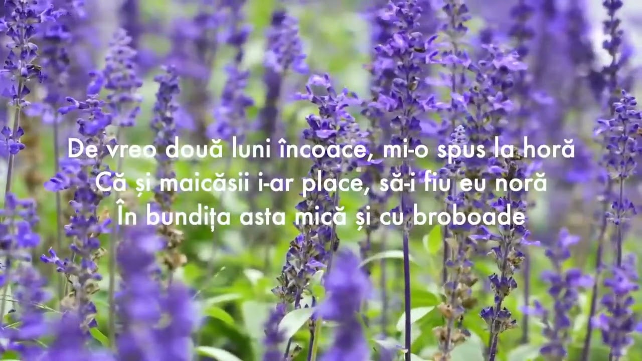Angela Moldovan - Mi-Am Făcut Bundiță Nouă Versuri (Cu Negativ)