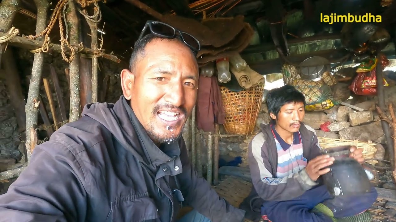 himalayan life with Lajim Budha || @lajimbudha ||