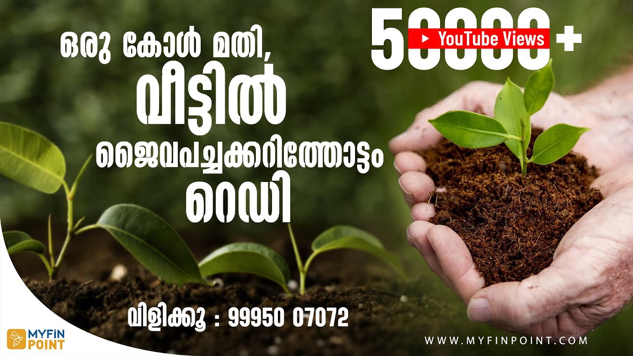 റെഡിമെയിഡ് പച്ചക്കറിത്തോട്ടം!! | Vegetable Garden at Home | Organic vegetable farming | Orgaayur