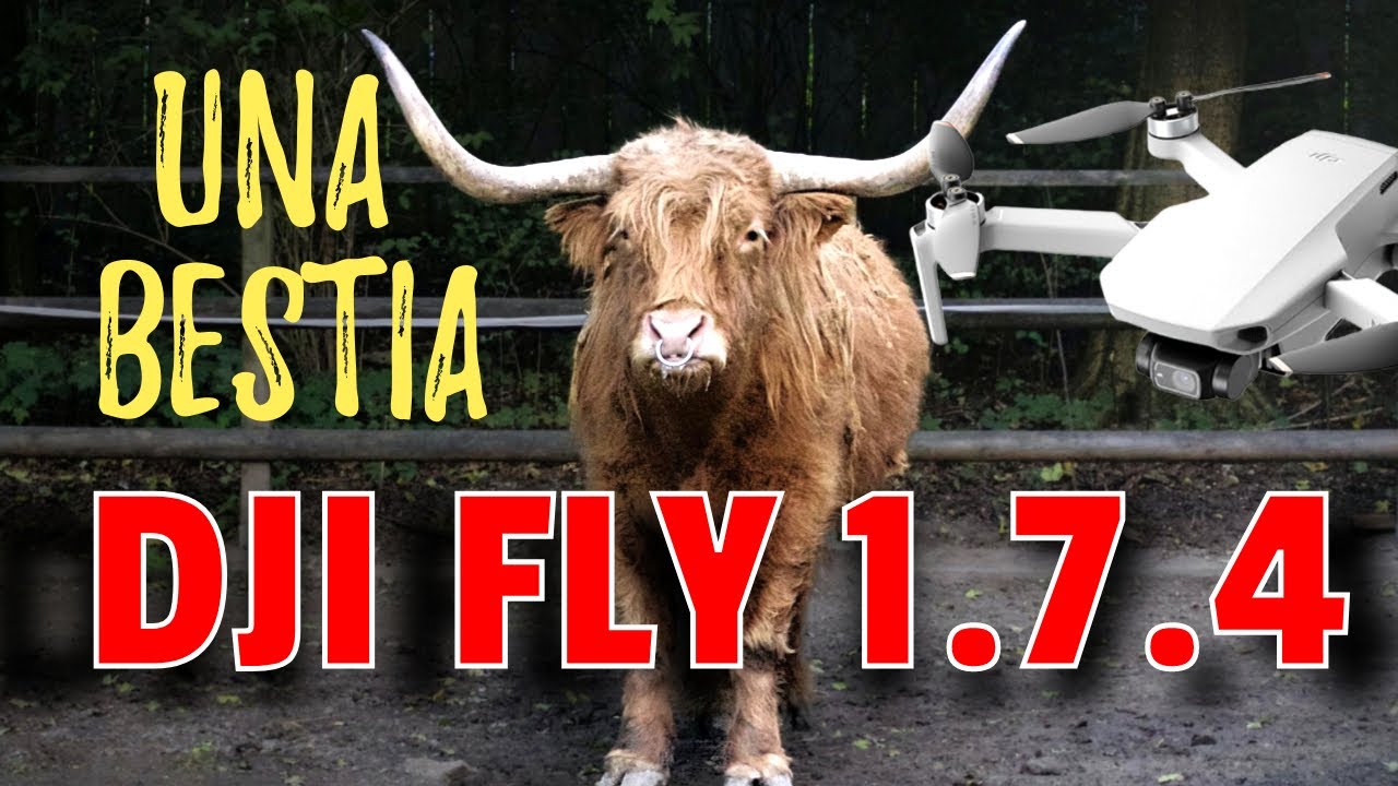 DJI FLY 1.7.4. ATTENZIONE a QUESTA !!    #ios   #djifly #dji #problemi #djimini2 #test