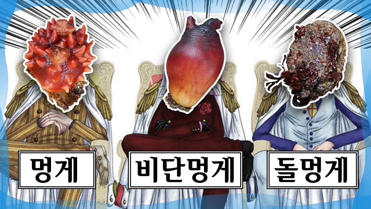 양식/자연산/비단/돌멍게 비교