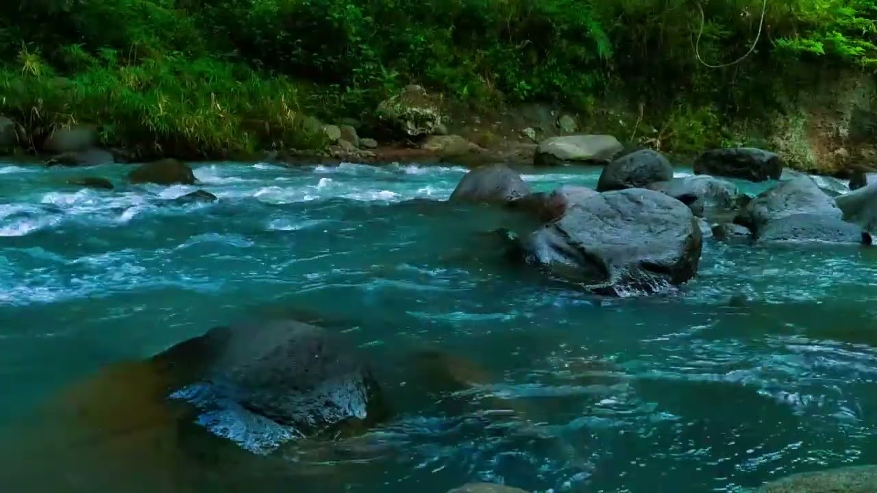 Gentle Stream in the Woods – Nature River Sounds for Relaxation