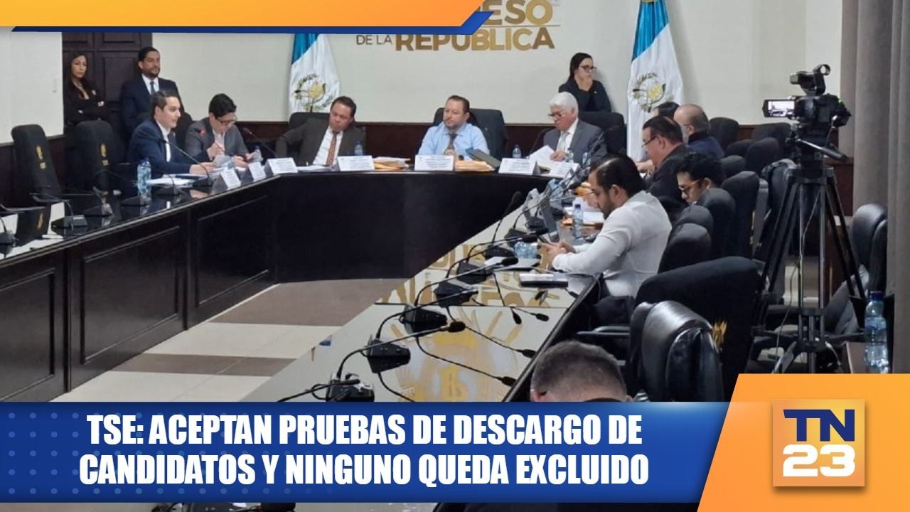 TSE: aceptan pruebas de descargo de candidatos y ninguno queda excluido