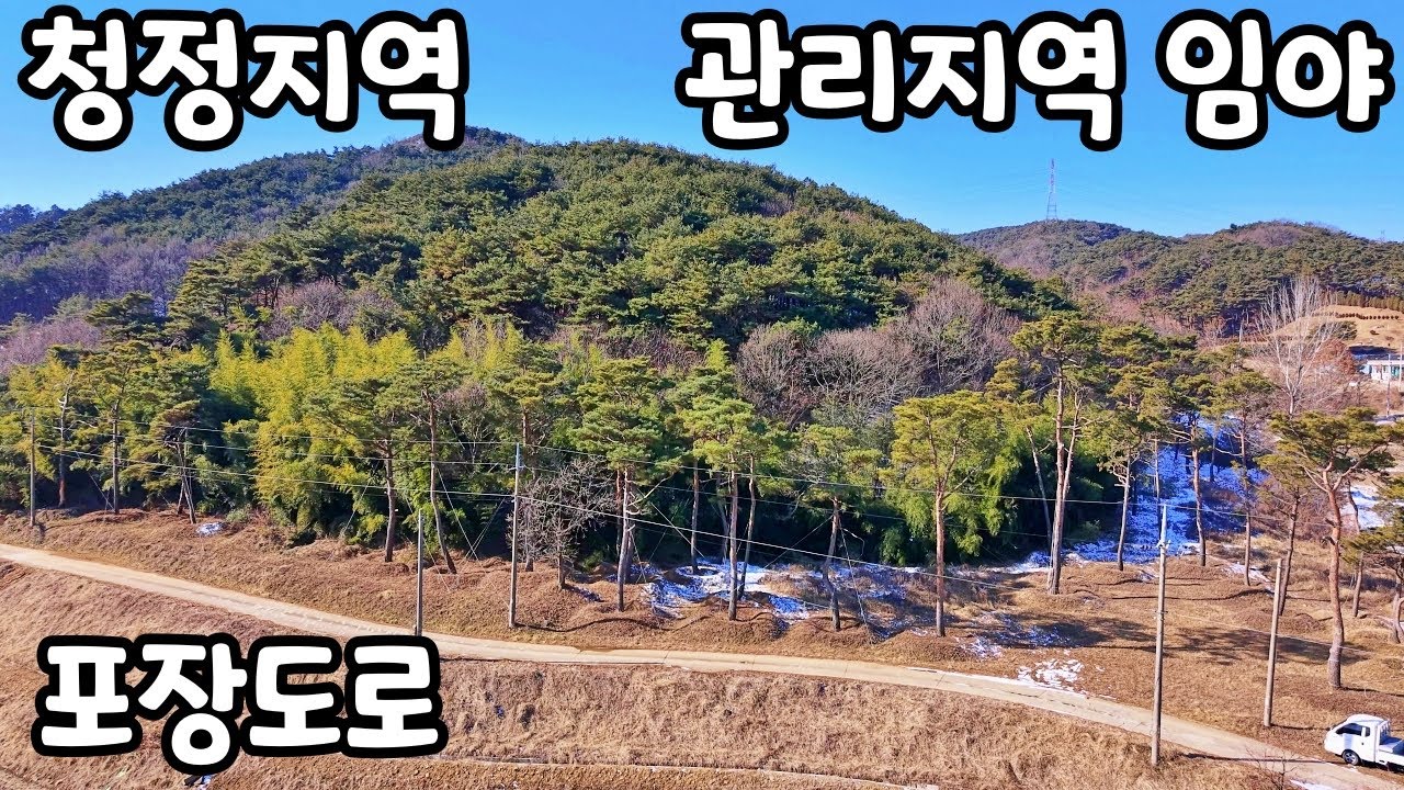 (NO.8685) 관리지역 임야 포장도로 + 완만한 경사 평당2만5천
