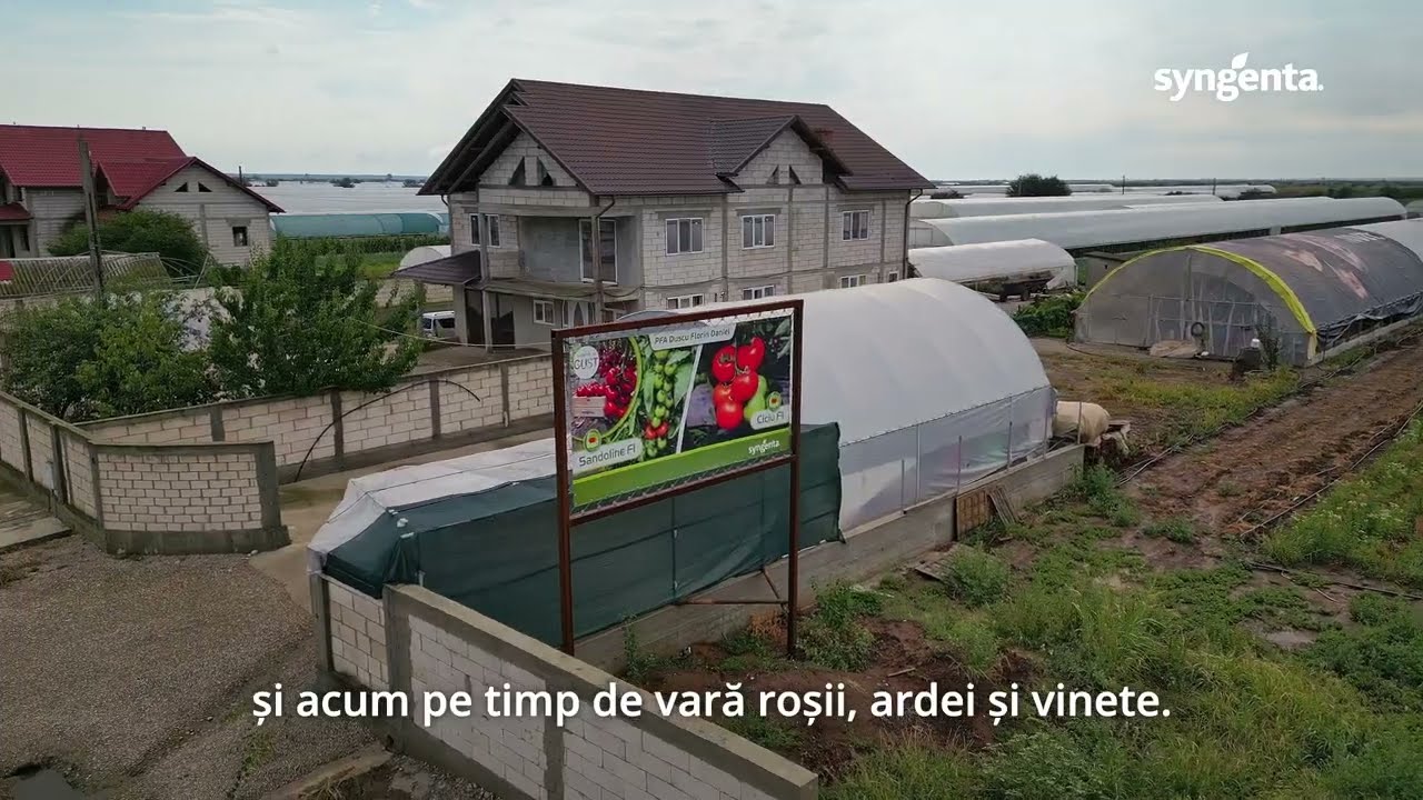 Tomata Ciciu / Testimonial Timotei Dușcu, Băleni-Sârbi, Dâmbovița
