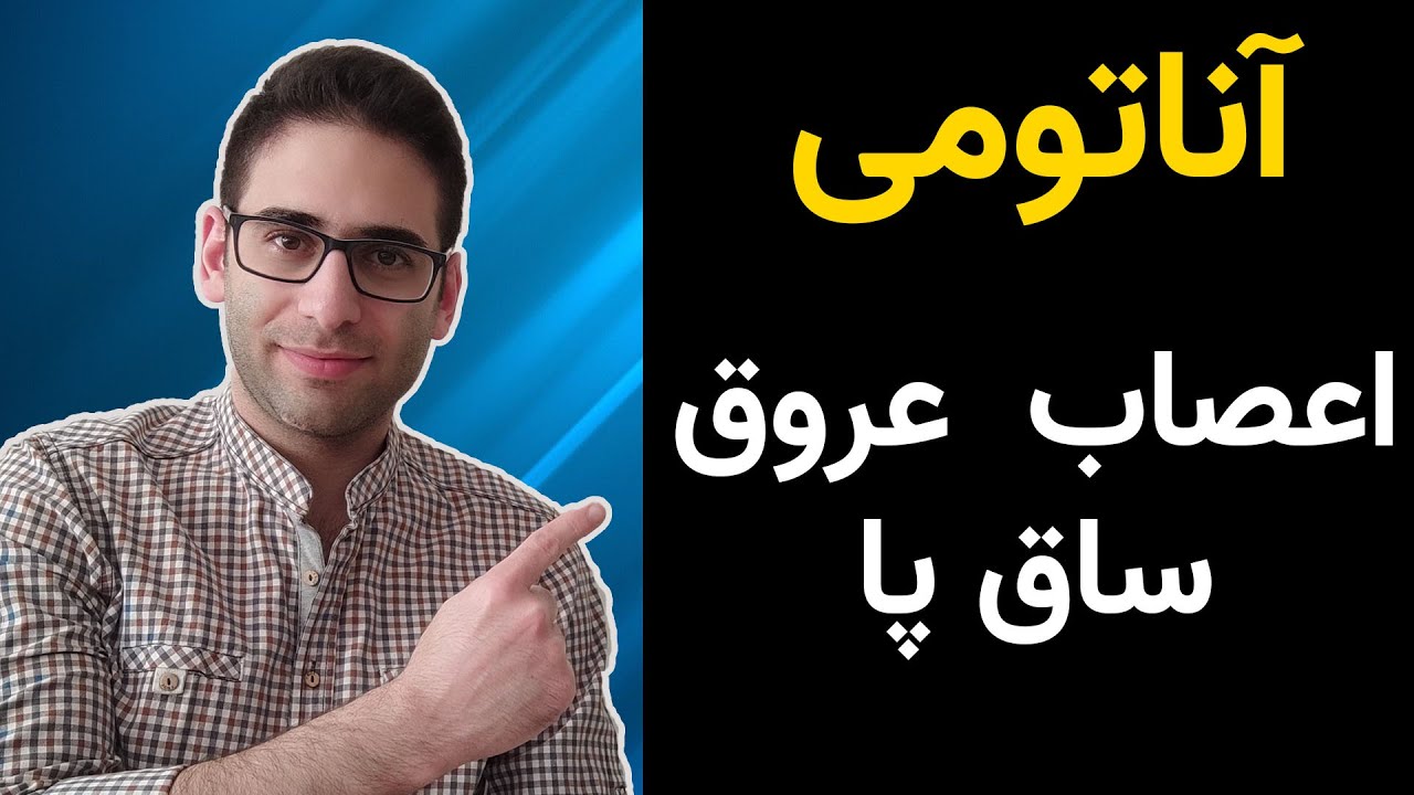 آناتومی عروق و اعصاب ساق پا