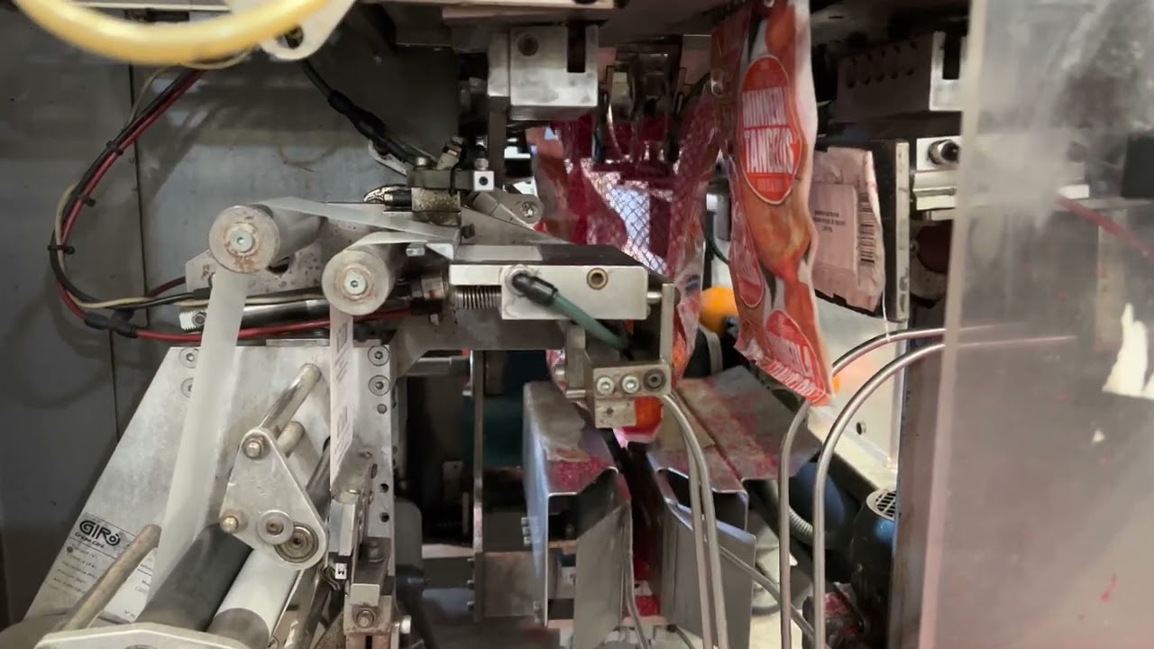 Automated citrus 🍊 bagging machine @newtec @giro
