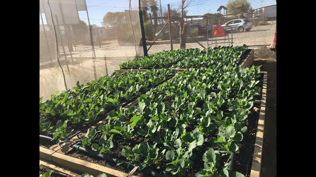 Food Security Program